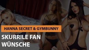 Skurrile Fan-Wünsche an Pornostars